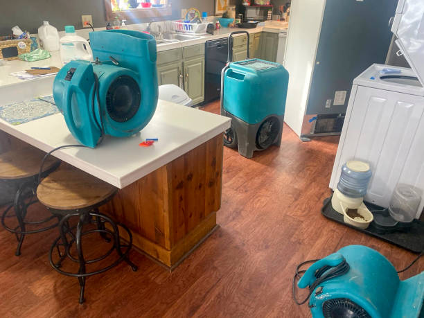 Best Residential water damage restoration  in Mission Viejo, CA