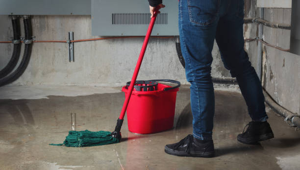 Best 24-hour water damage restoration  in Mission Viejo, CA