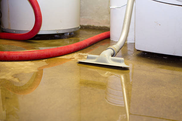 Best Local water damage restoration  in Mission Viejo, CA