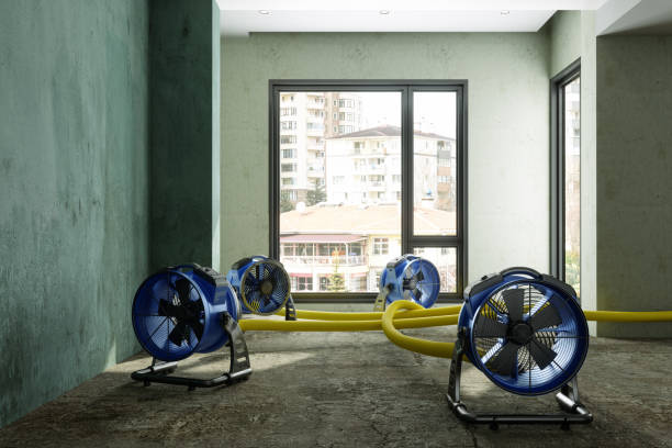 Best Ceiling water damage repair  in Mission Viejo, CA